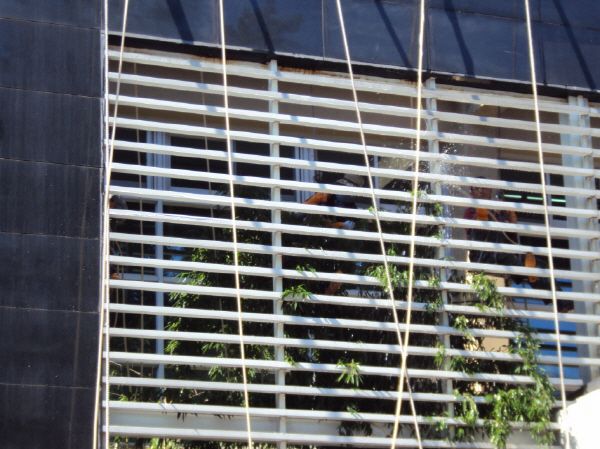 전자파기술원 내벽청소